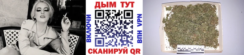 Шишки марихуана MAZAR  Чадан 
